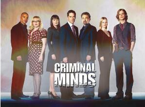 犯罪心理第二季/全集Criminal Minds(2) 犯罪心理第二季/全集Criminal Minds(2)